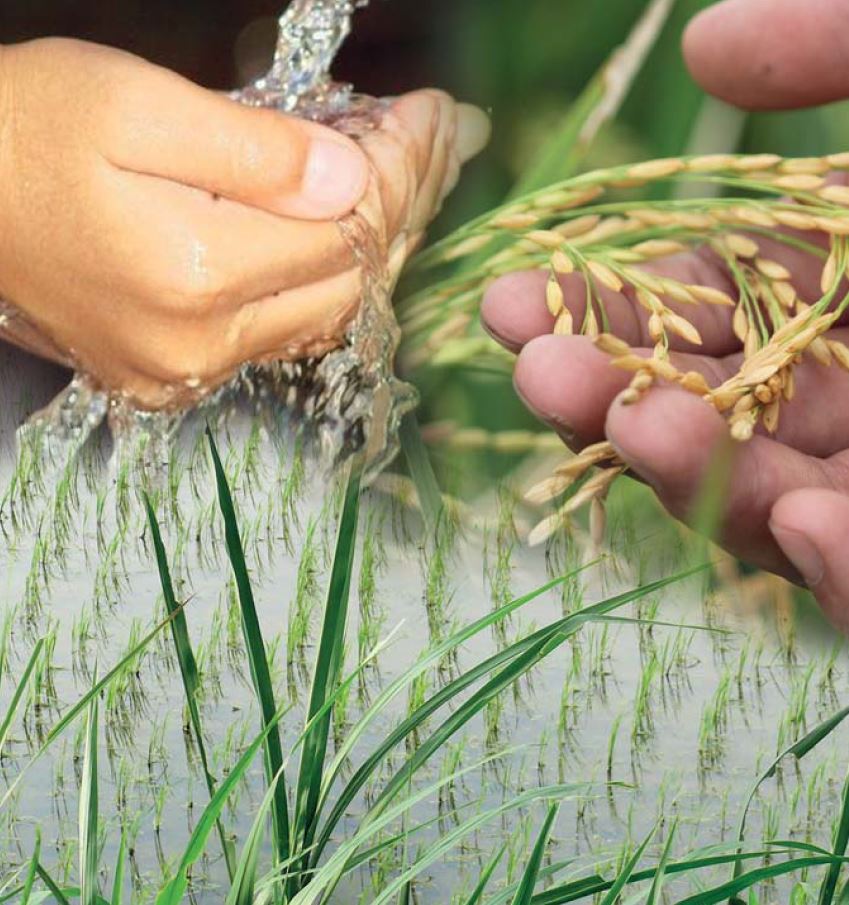 Contaminazione ed esposizione ambientale