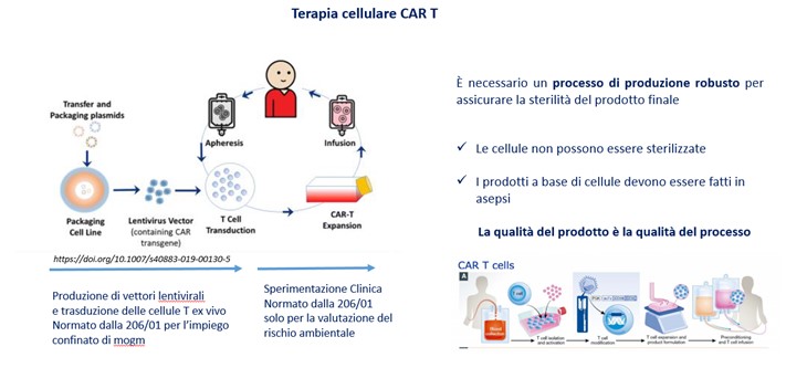 Terapia cellulare CAR T